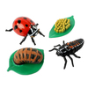 Insect Lore Ladybug Life Cycle Stages Figure Set 6090